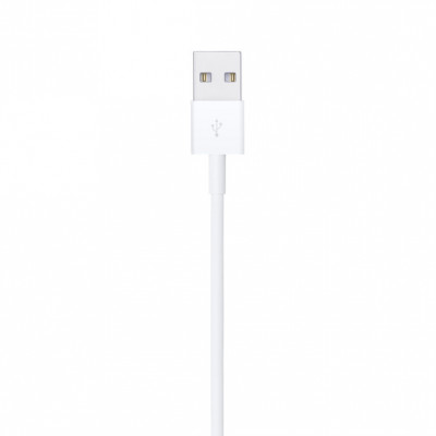 apple iPhone lightning to usb cable 1 Meter