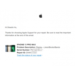 Apple official repair service