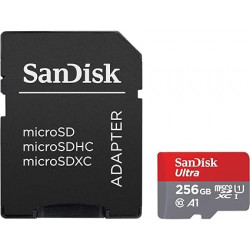 Carte Ultra SanDisk 256 Go